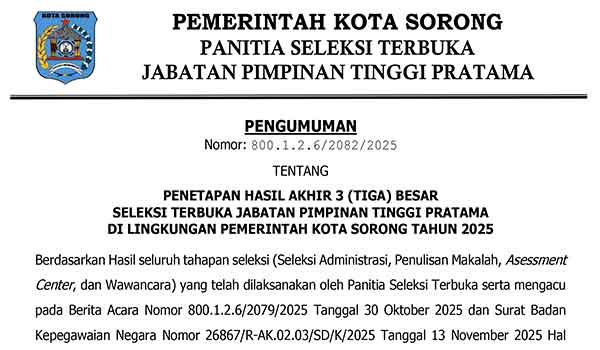 Pansel Umumkan 3 Nama JPT Pratama Pemkot Sorong, Ini Daftar Lengkapnya 1 Pansel JPT Prtama Pemkot Sorong