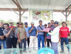 Dibina Terintegrasi, Ratusan Kelompok Peternak Sapi Mimika Didorong Mandiri Pakan