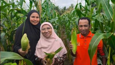 Saadiah Uluputty Kilo 10 Negeri Huameteno Malteng