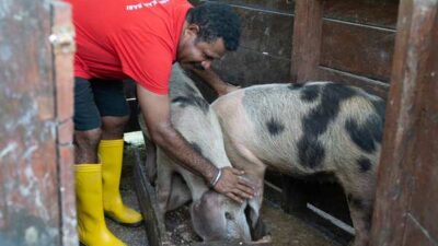 Kilang Kasim Perkuat Ketahanan Pangan dan Ekonomi Lokal lewat Dukungan Kelompok Peternakan Kamisalun 21 IMG 20260131 WA0035