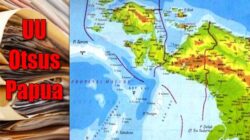 Otsus Papua: Kuat Dalam Hukum, Gagal dalam Praktik Kekuasaan 6 Ilustrasi Otsus Papua