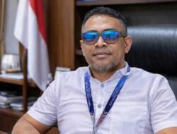 Adu Domba Pasca Pilkada: Ketika Demokrasi Diuji Setelah Kotak Suara Ditutup
