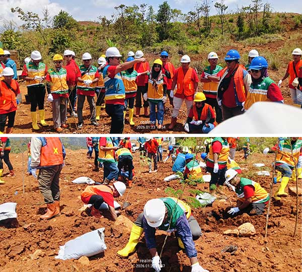 PT Gag Nikel Ajak Jurnalis PBD Tanam Pohon-Lepasliarkan Ratusan Tukik 2 Jurnalis PT Gag Nikel giat pelestarian2
