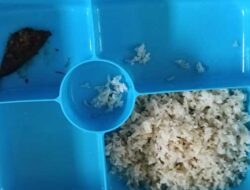 MIRIS! Warga Binaan Ungkap Makanan di Lapas Abepura Tak Layak