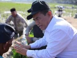 Pulihkan Sawah Terdampak Bencana di Pulau Sumatera, Pemerintah Gaji Petani