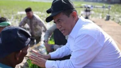 Pulihkan Sawah Terdampak Bencana di Pulau Sumatera, Pemerintah Gaji Petani