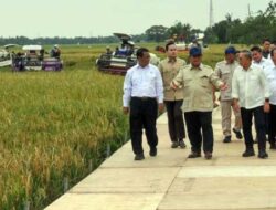 Swasembada Pangan Lebih Cepat dari Target, Presiden Prabowo Bilang Begini