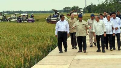 Presiden Prabowo Swasembada Pangan