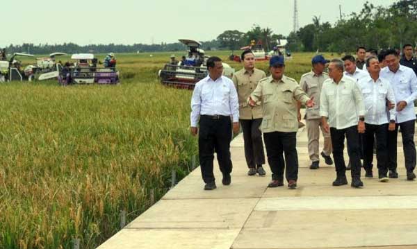Swasembada Pangan Lebih Cepat dari Target, Presiden Prabowo Bilang Begini 1 Presiden Prabowo Swasembada Pangan