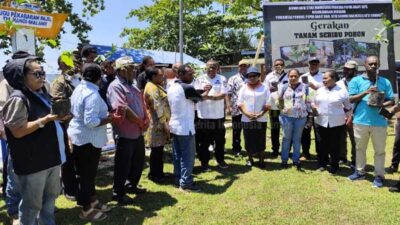 Alumni Kota Studi Manokwari Tanam Pohon