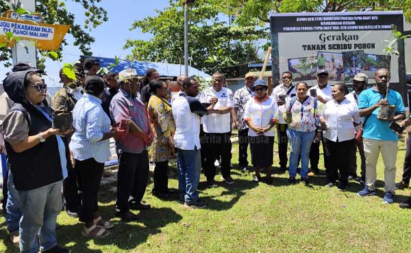 Alumni Kota Studi Manokwari Tanam Pohon