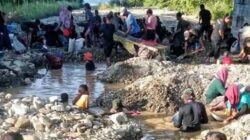 Ini Respon BPJN Maluku Soal Aktivitas Dulang Emas di Jembatan Waelalenmata Buru 3 BPJN Maluku Dulang Emas Jembatan Waenibe