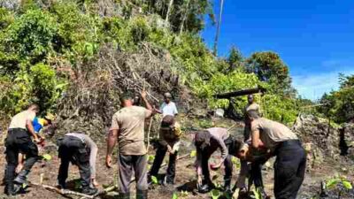 Polres Maybrat Dukung Ketahanan Pangan Melalui Penanaman Jagung di Kampung Kambuwifa 32 IMG 20260226 WA0021