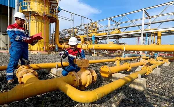 Ilustrasi Ketahanan Energi Foto Istimewa