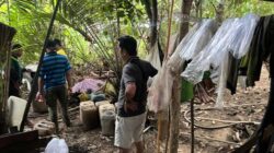 Polresta Sorkot Bongkar Tempat Produksi Miras Lokal di Katapop, Sita 70 Liter CT 10 Polres Sorkot Sita Miras CT di Katapop