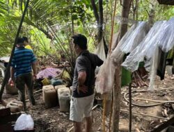 Polresta Sorkot Bongkar Tempat Produksi Miras Lokal di Katapop, Sita 70 Liter CT