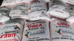 Perkuat Ketahanan Pangan Nasional: Pemerintah Pastikan Alokasi Pupuk Subsidi 3 Pupuk Subsidi Foto Ist