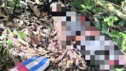 Aparat dor KKB di Nabire