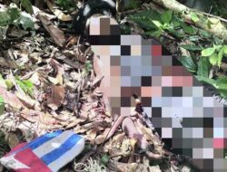 Aparat Gabungan Tembak Mati Anggota KKB di Nabire, Ini Daftar Kejahatannya