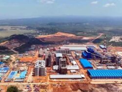 Hilirisasi Komoditas Prioritas Perkebunan Papua Dorong Pertumbuhan Ekonomi Daerah