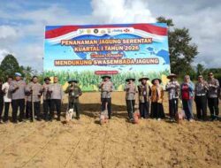 Dukung Porgram Ketahanan Pangan Nasional, Polda Papua Barat Gelar Tanam Raya di Polres Jajaran