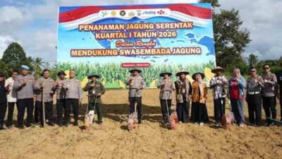 Dukung Porgram Ketahanan Pangan Nasional, Polda Papua Barat Gelar Tanam Raya di Polres Jajaran