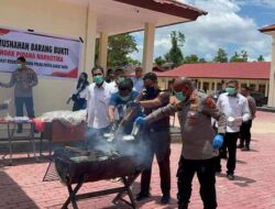 Polda PBD Musnahkan Hampir 8 Kilogram Ganja