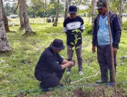 Hadiri Aksi Tanam Bibit Cengkeh-Kelapa di Waesamu, Ini Harapan Kades Riripoy