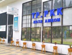 Penataan-Penghijauan: DLHP Ambon Mulai Tanam Anakan Pohon Gadihu