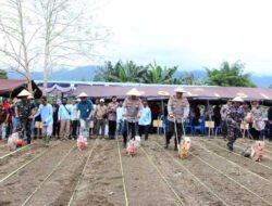 Dukung Program Nasional: Polda Papua Tanam Jagung Serentak Kuartal I 2026