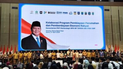 1000373175 optimized 50