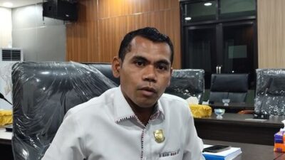 1000377236 optimized 50