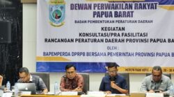 1000378140 optimized 50