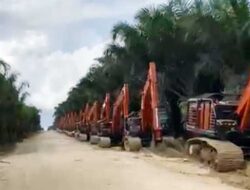 19 Eksavator “Nyelonong” Masuk Wilayah Adat IMEKKO, Pemkab Sorsel Bereaksi