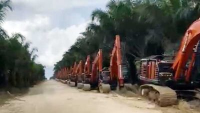 19 Eksavator “Nyelonong” Masuk Wilayah Adat IMEKKO, Pemkab Sorsel Bereaksi 33 19 Eksavator masuk Wilayah Adat IMMEKO