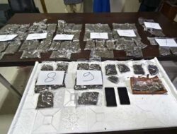 Tiga Oknum Mahasiswa Diamankan, Polda PB Ungkap 1.463,8 Gram Ganja Siap Edar