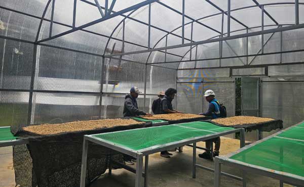 PLN Papua Raih Peringkat Platinum Alignment di Nusantara CSR Awards 2026 2 PLN Papua Raih Penghargaan di Nusantara CSR Awards 2026 2