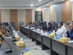 Realisasi Anggaran 81,7 Persen, DPRP PBD Soroti Program Dinkes Belum Optimal