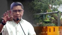 Walkot BW Pohon TUmbang