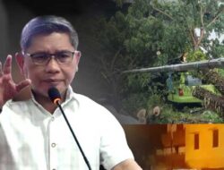 4 OPD Ini Diinstruksikan Tangani Insiden Pohon Tumbang di Ambon