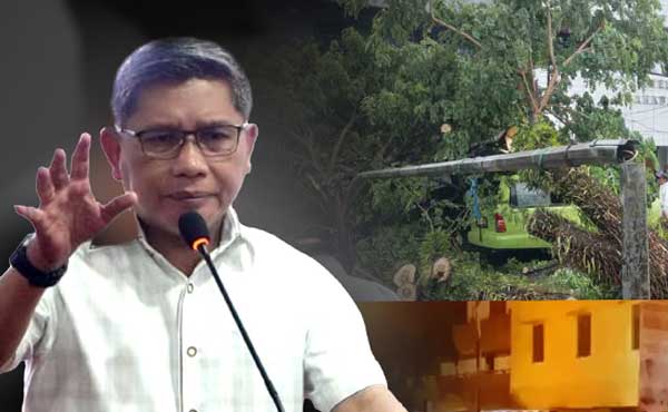 Walkot BW Pohon TUmbang