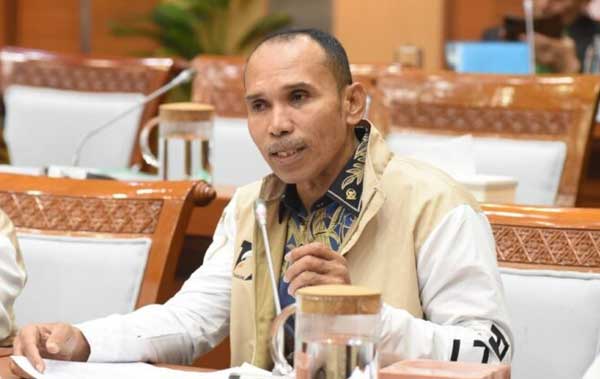 Alimuddin Kolatlena DPR RI