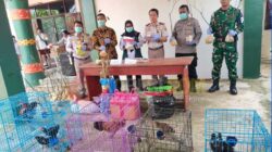 BKHIT PBD Musnahkan Sejumlah Komoditas Hewan dan Tumbuhan 10 BKHIT PBD Musnahkan Sejumlah Komoditas