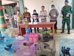 BKHIT PBD Musnahkan Sejumlah Komoditas Hewan dan Tumbuhan