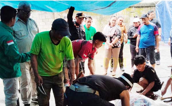 Bupati JR Apresiasi Pemotongan Hewan Kurban