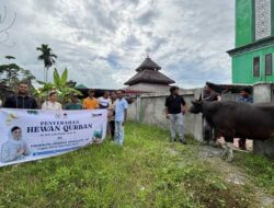 Legislator RI Cheroline Makalew Salurkan Hewan Qurban di Papua Barat