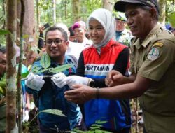 Pertamina Patra Niaga Kilang Kasim Wujudkan Energi Berkelanjutan dan Kelestarian Alam Papua