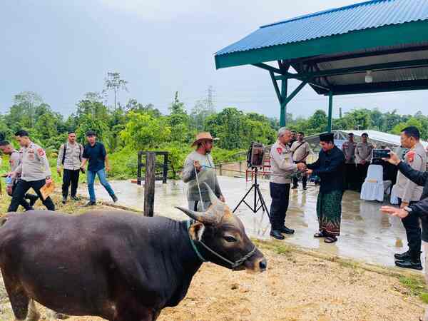 Jelang Iduladha 1447 H, Polda PBD Serahkan Hewan Kurban ke PonPes Fahd AL Muslim 1 IMG 20260526 WA0016