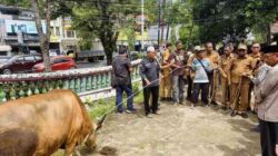 IMG 20260526 WA0034