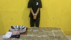 Polresta Sorong Kota Kembali Ungkap Peredaran Ganja Asal Jayapura 2 IMG 20260530 181755